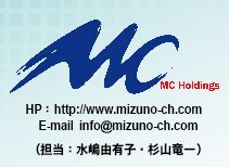 Mizuno Consultancy Holdings