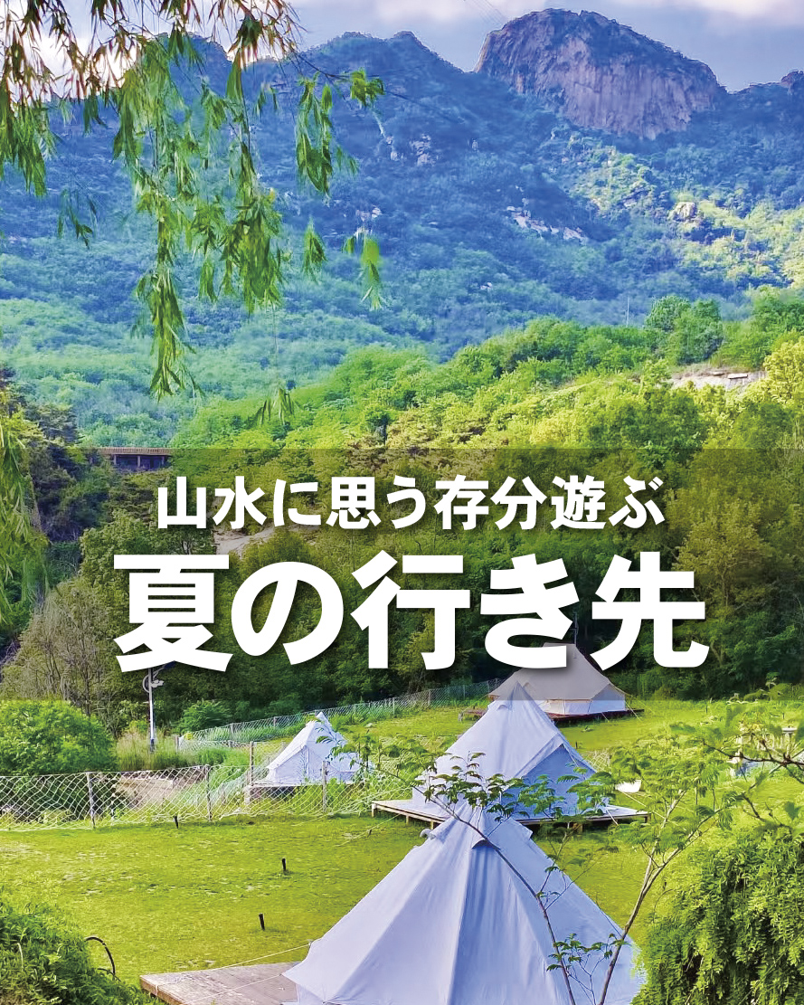 夏の行き先