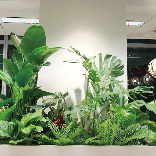 ユニバーサル園芸社