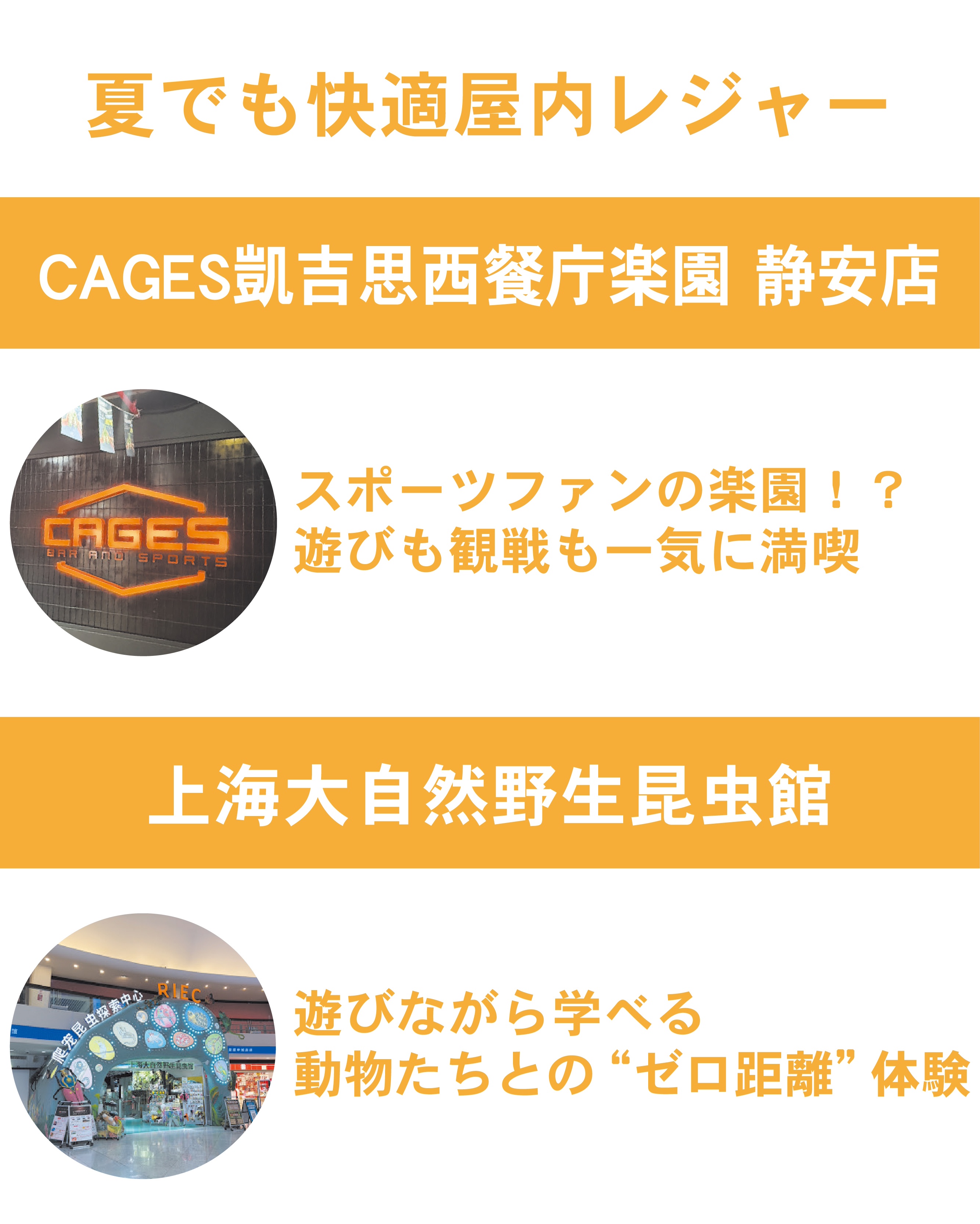 夏でも快適屋内レジャー②